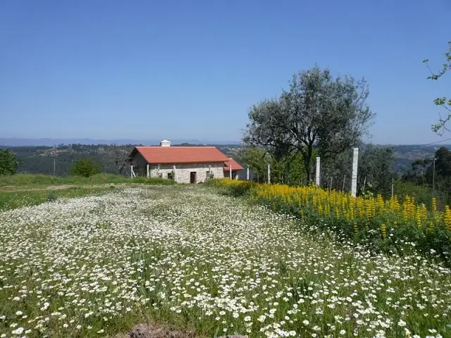 Casa da Fernanda