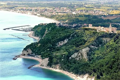 Fiori d'Olmo - B&B Sirolo