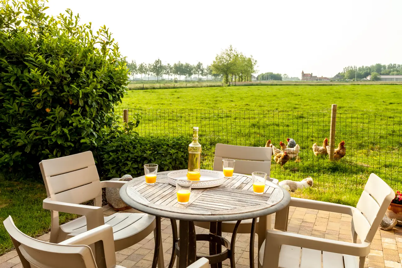 Het Polderhof - B&B Jabbeke