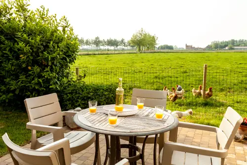 Het Polderhof - B&B Jabbeke