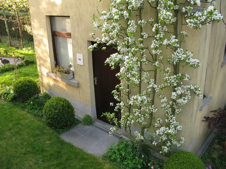 B&B Domaine de Menuval - Chambres d'hôtes Linkebeek