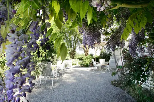 Bed & Breakfast die Villa - B&B Friedrichshafen