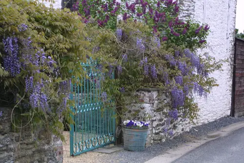 Boutique B&B La Vie en Rose hotel - B&B Gouvy