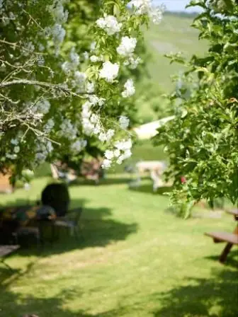 Feriengut Bohn - Ferienwohnung Bernkastel-Kues