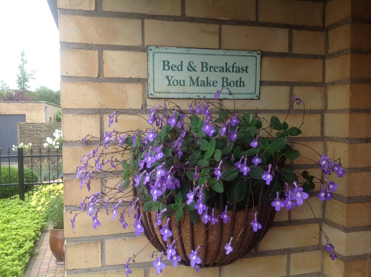 B&B Het Abelenhof - B&B Brujas