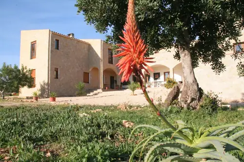 Mas del Rey - B&B Benicarló