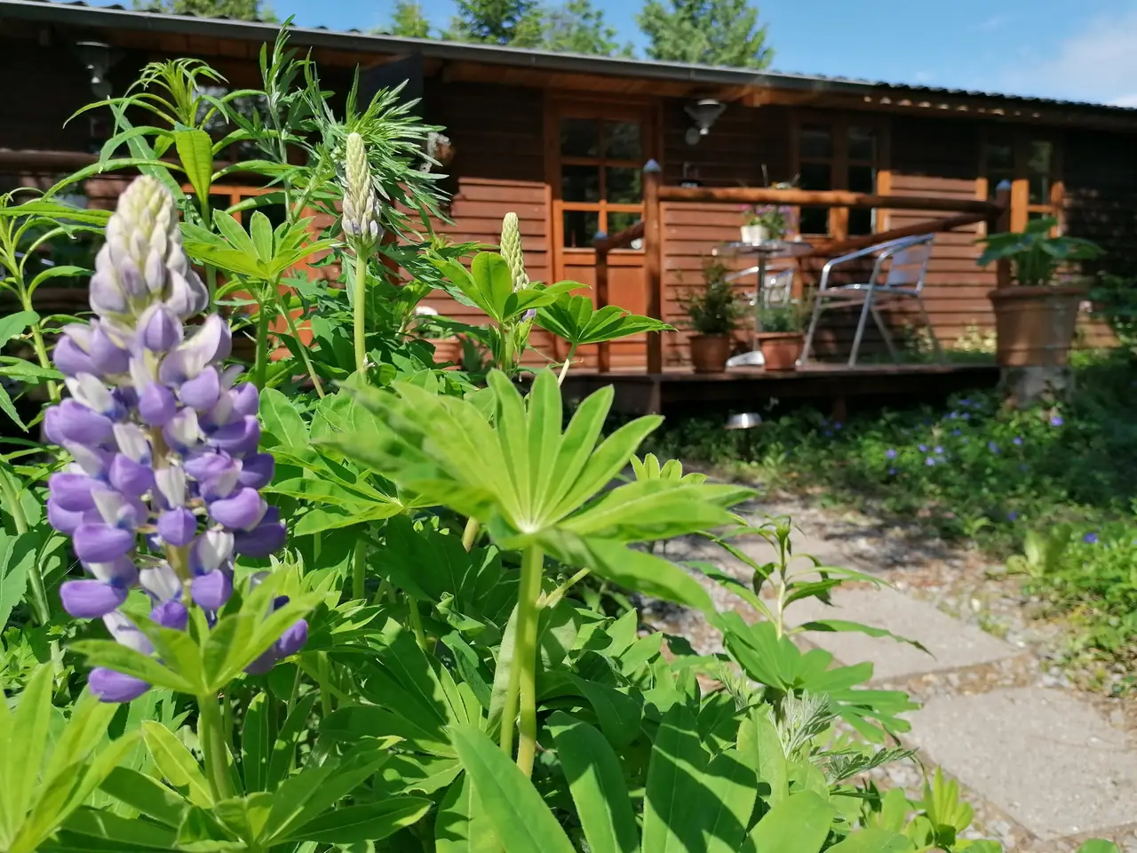 Bakkebo Apartment - Bed and Breakfast Sindal