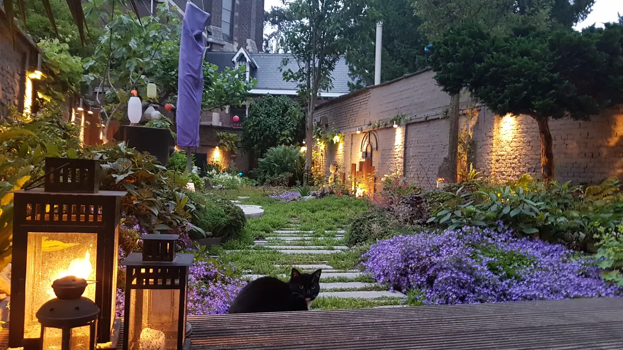 Guesthouse Leman - B&B Anversa