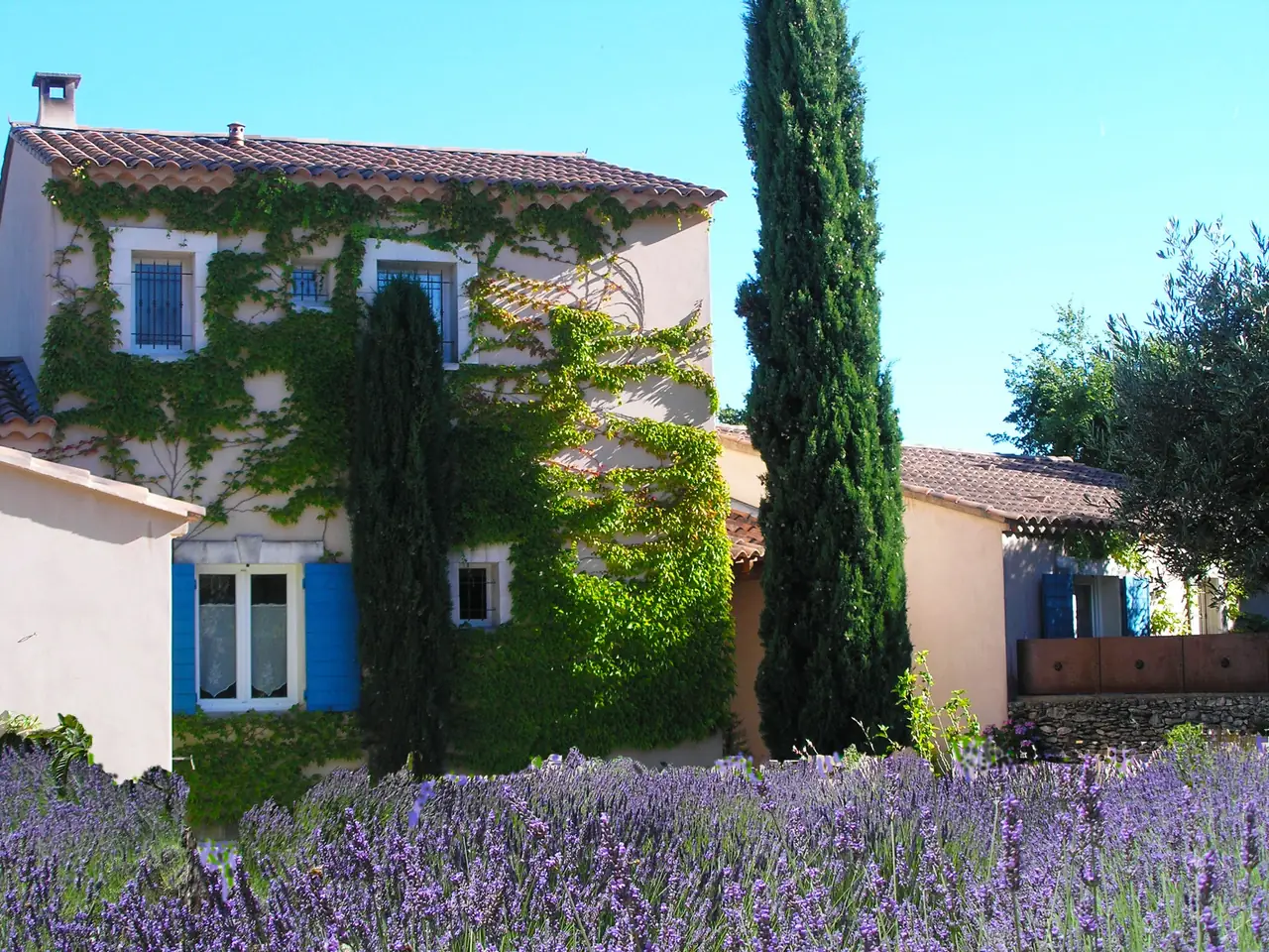 Le Clos des Lavandes - B&B Lacoste