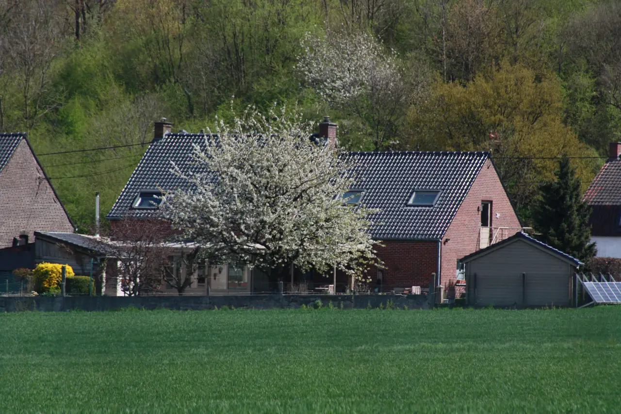 Le Roc Paisible - Chambres d’hôtes Havinnes